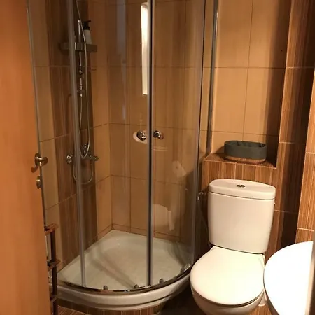 Olive City Center Appartement *